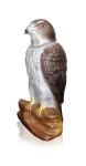 18_acor
