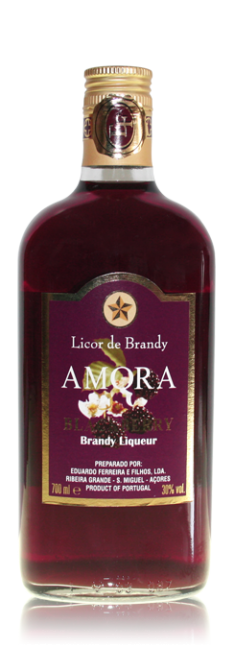 18_brandy_amora_ez_2